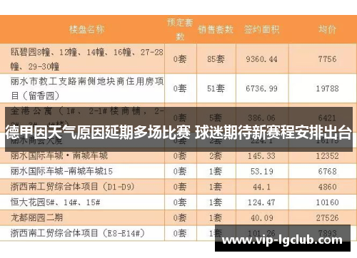 德甲因天气原因延期多场比赛 球迷期待新赛程安排出台