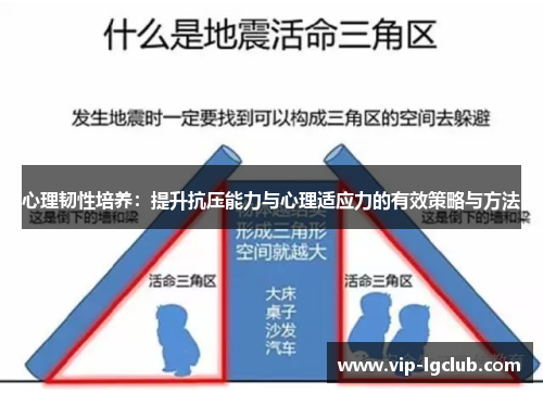 心理韧性培养：提升抗压能力与心理适应力的有效策略与方法