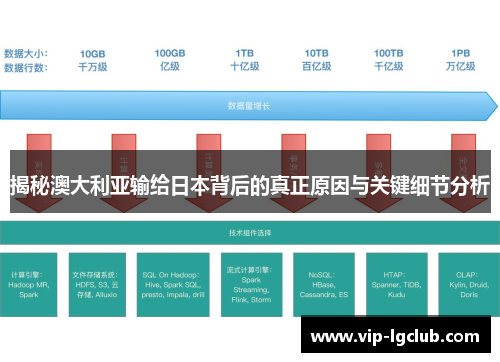 揭秘澳大利亚输给日本背后的真正原因与关键细节分析