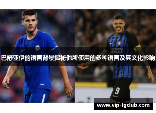 巴舒亚伊的语言背景揭秘他所使用的多种语言及其文化影响
