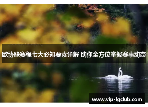 欧协联赛程七大必知要素详解 助你全方位掌握赛事动态 欧协联赛程七大必知要素详解 助你全方位掌握赛事动态